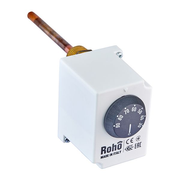 Термостат занурювальний Roho R2031-050 (+30…+90*C) (RO0219) RO0219 фото